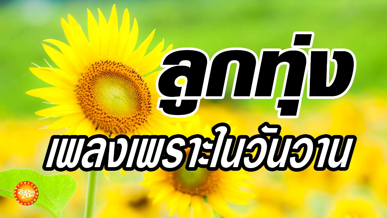 เพลงลูกทุ่งเพราะในวันวาน พิเศษวันหยุด
