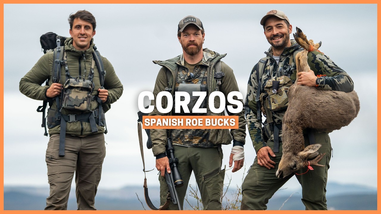 Where to Find the Biggest Roe Bucks in the World | Hunting Adventure in Spain 🇪🇸
