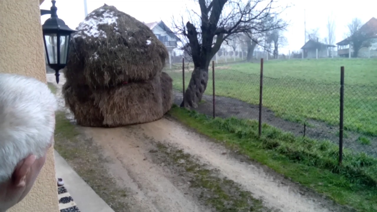Pokretno sijeno na Panđuri&scaron;tu - Moving hay in Bosna