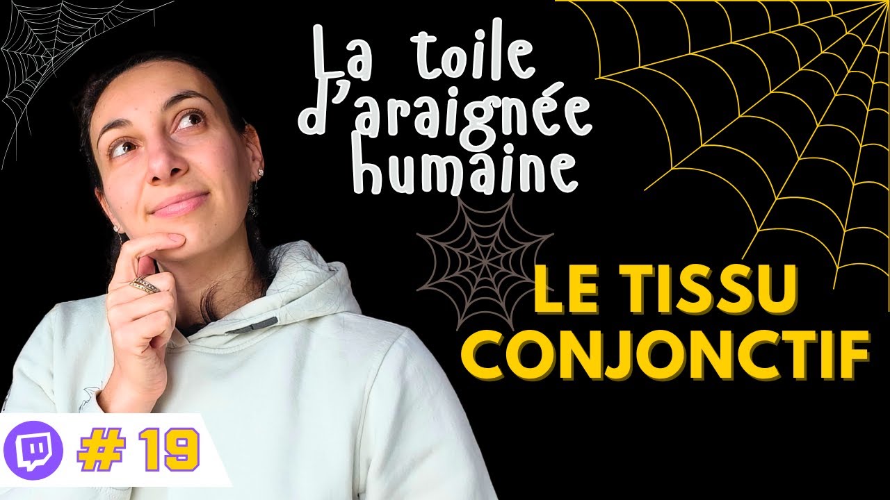 Le tissu conjonctif, c'est quoi?
