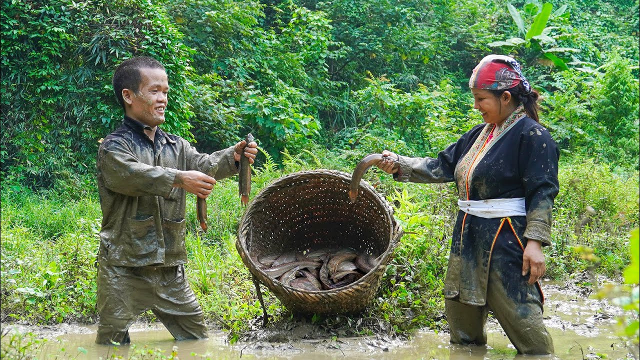 Dwarf family harvesting wild pears - catches loach in the mud | Primitive Joy