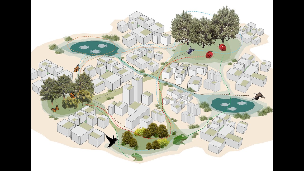 Ambattur Green Project