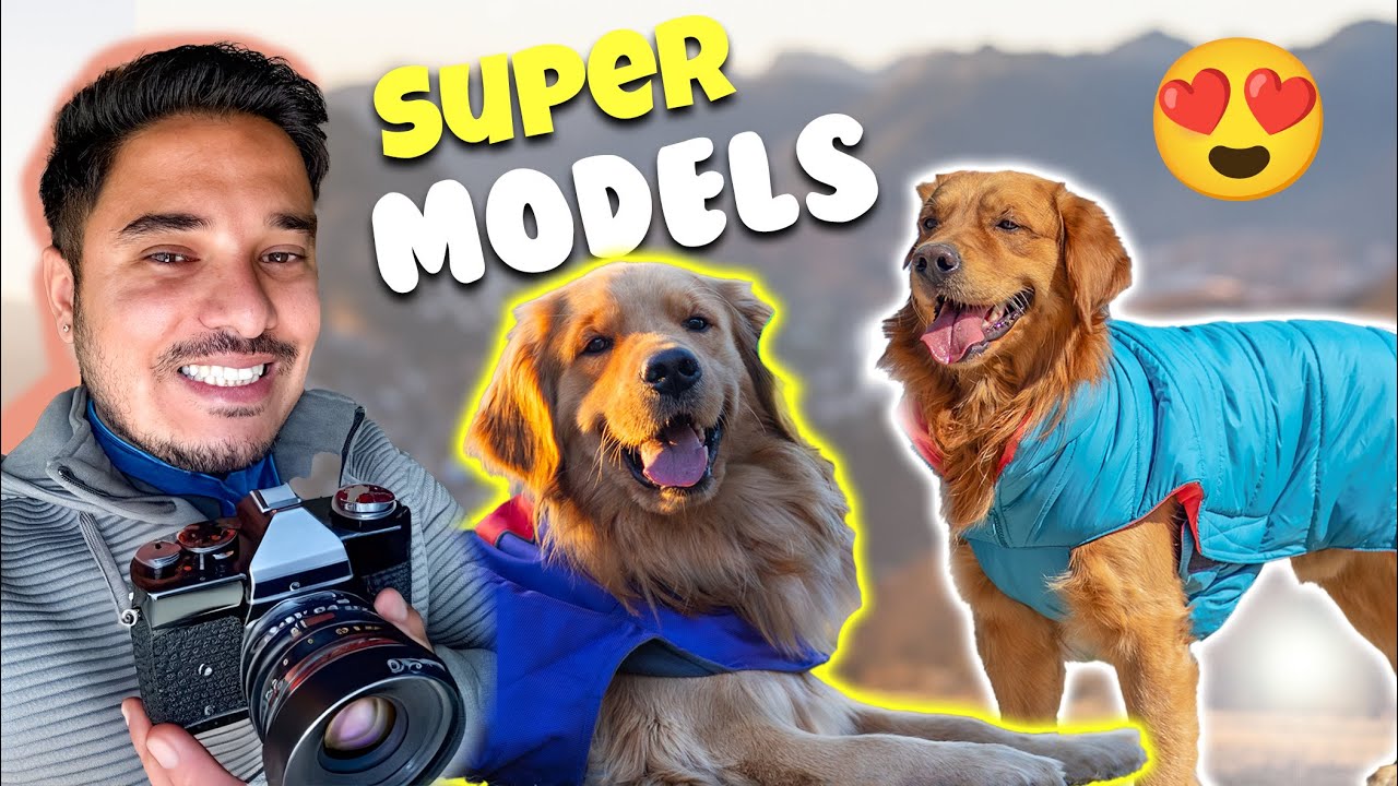 Max and Leo are Supermodels Now 😍🎊 | THE HIMALAYAN HUSKY