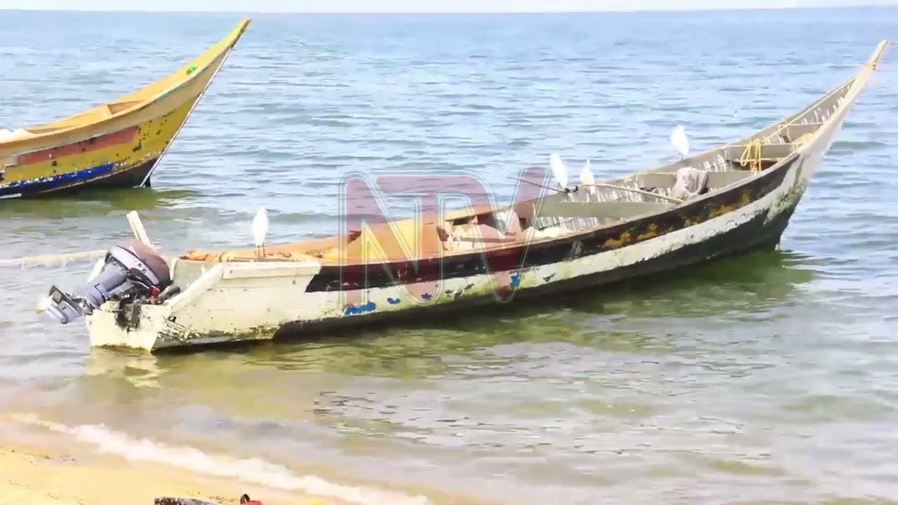 OKUKABASANYA ABATANETUUKA: E Kalangala abafuna embuto beeyongedde