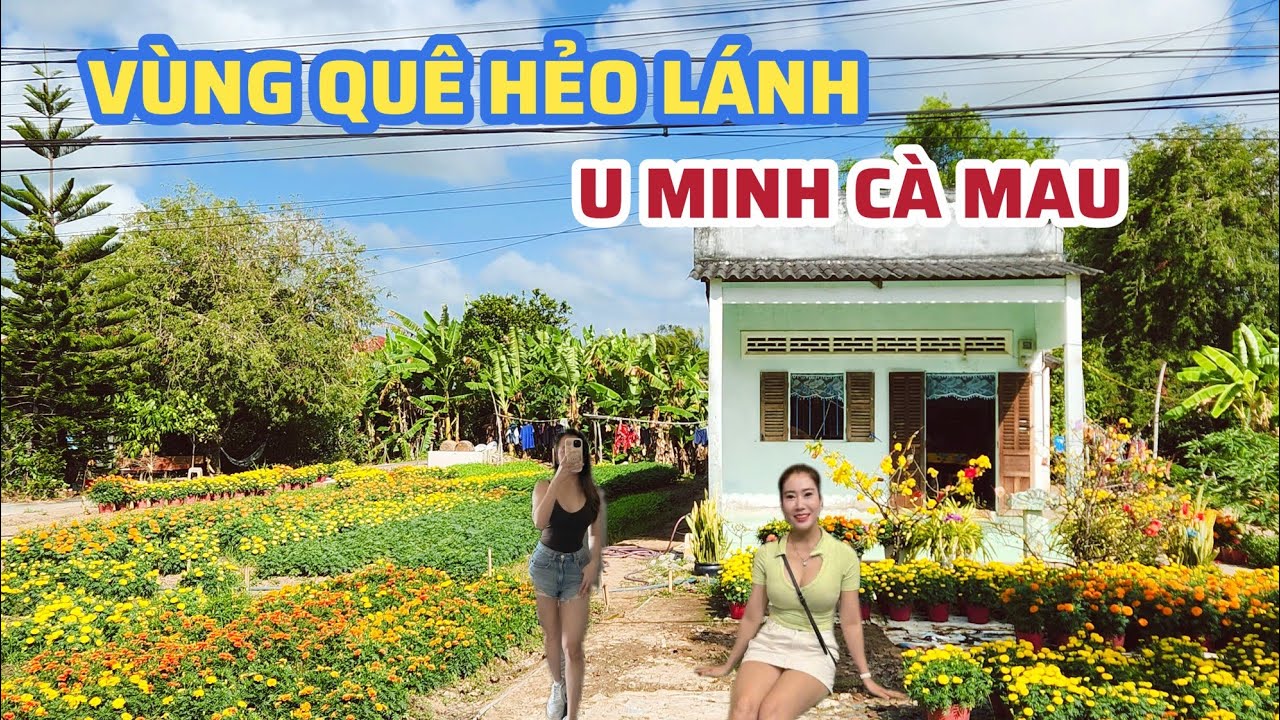 Bất Ngờ Vùng Quê Hẻo Lánh Lạ Thường,  Đường Làng Thiếu Bóng Ngưòi U Minh Cà Mau Ngày Giáp Tết 2026