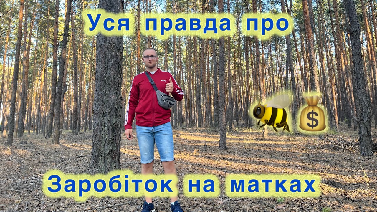 Скільки💲вдалось заробити на матках? 🐝 Як розкрутити власну справу ↗️