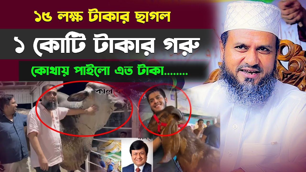 ১৫ লক্ষ টাকার ছাগল ও ১কোটি টাকার গরু কেনা নিয়ে কঠিন ধোলাই দিলেন মোশতাক ফয়েজী/Mostak foyezi/Viral waz