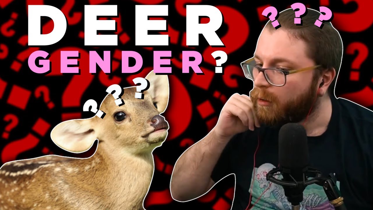 GIVING THE UNCUCKED TAKE: Neopronouns, Xenogenders, Otherkin, Whatever Else