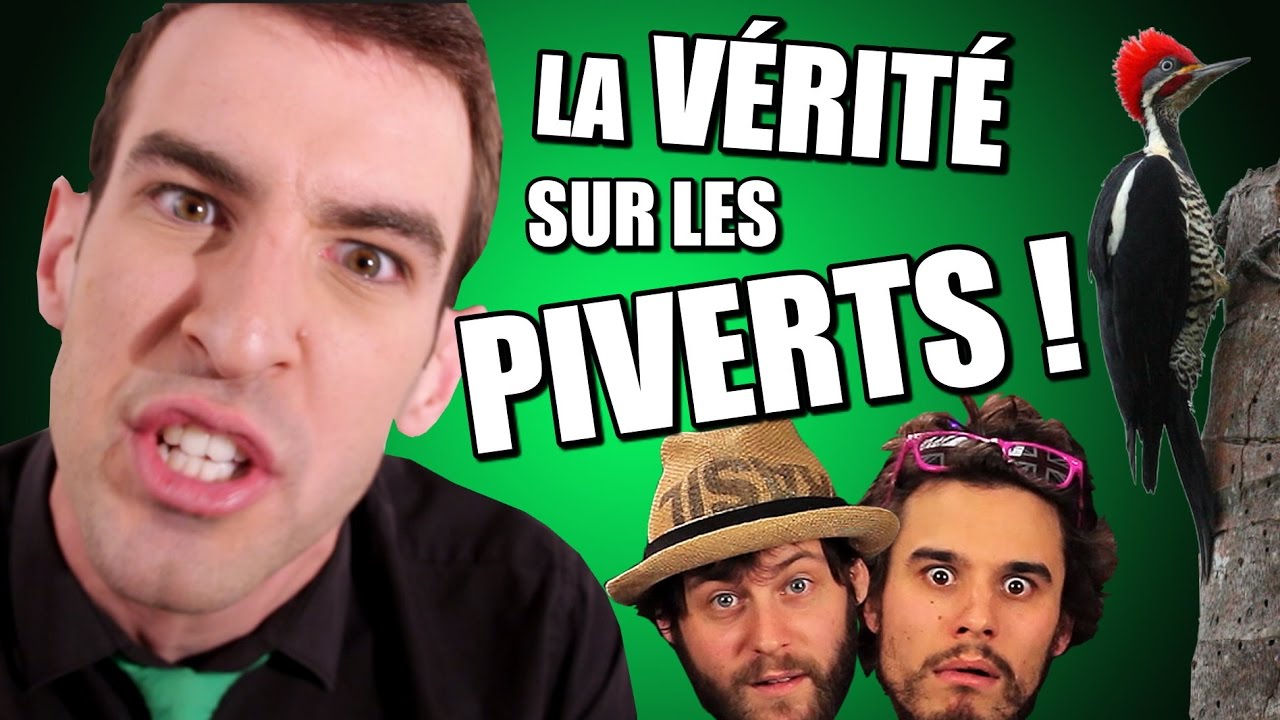ID&Eacute;E RE&Ccedil;UE #18 : La v&eacute;rit&eacute; sur les Piverts ! (feat. Studio Vrac)