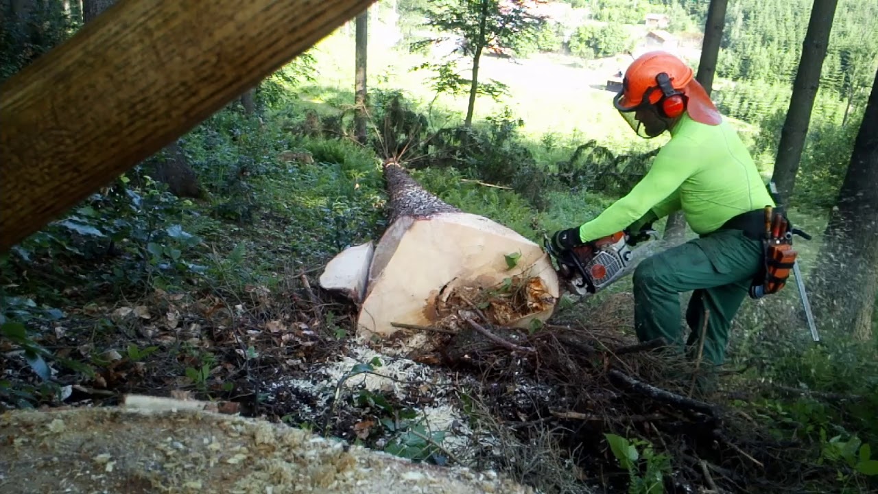 Working in forest, 236-2019, Im wald arbeiten, Pr&aacute;ce v lese 🇨🇿