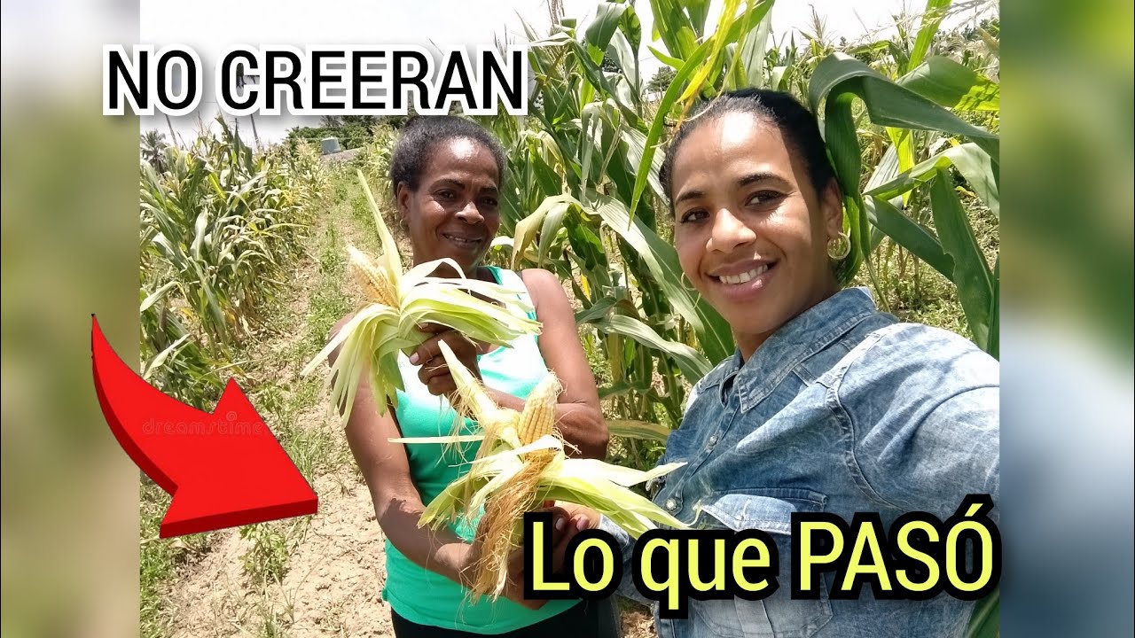 Asi se come en CUBA‼️# No te lo pierdas...‼️ Mamá y Yo 😍