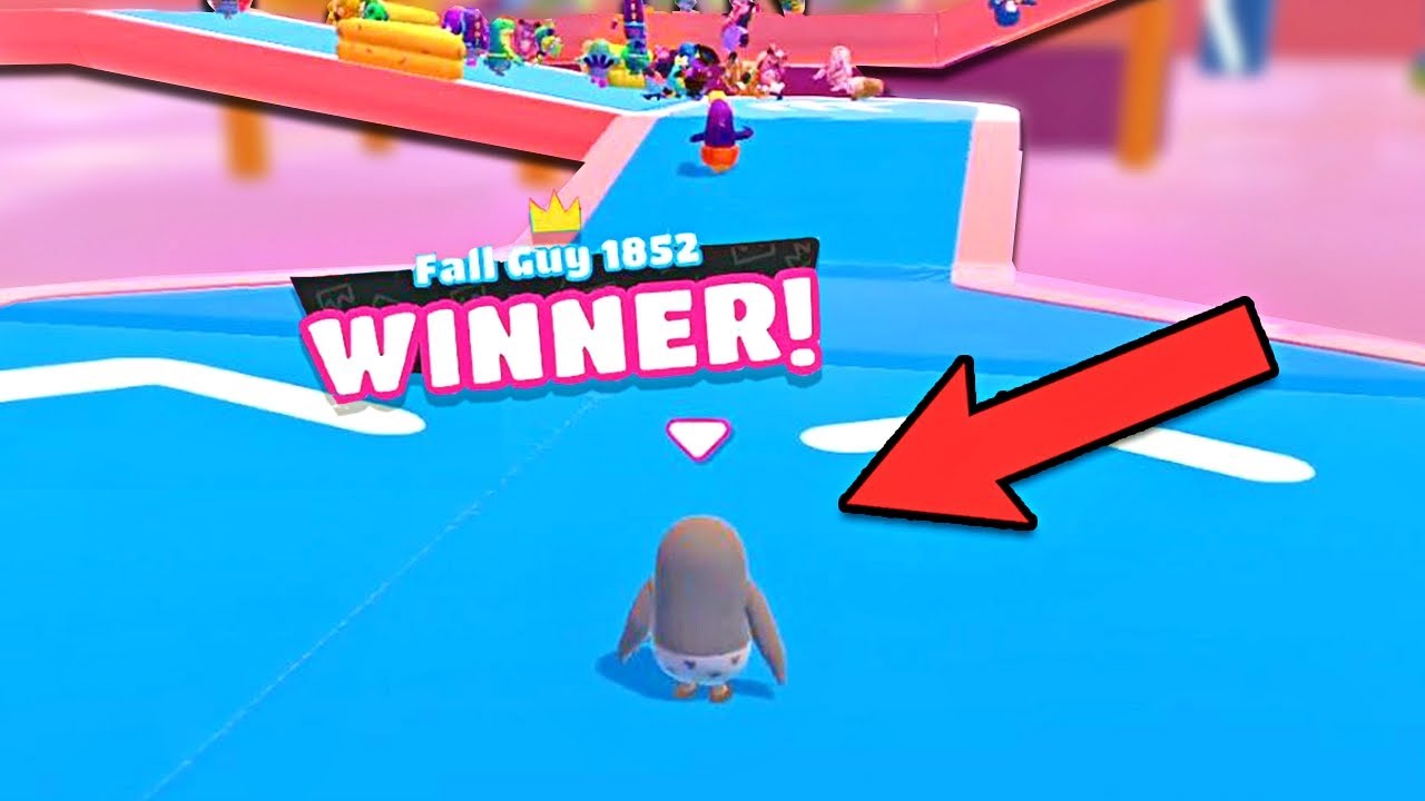 i WON without moving (Fall Guys)
