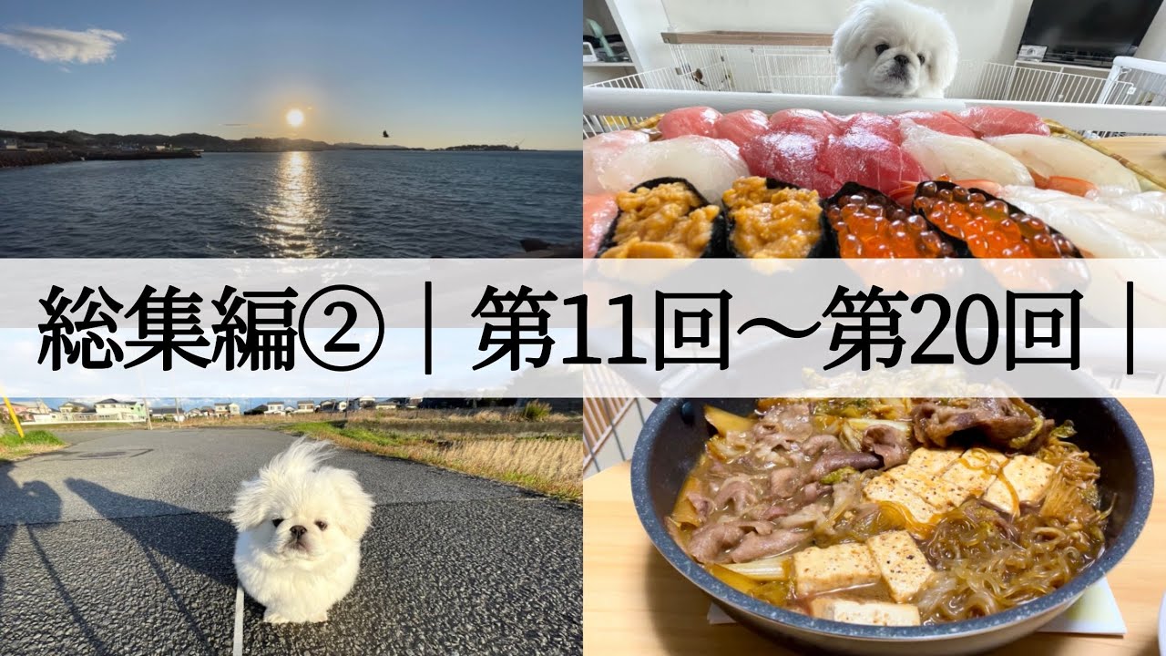【総集編②】絶望孤独おじとペキニーズとChatGPT【第11回〜第20回】