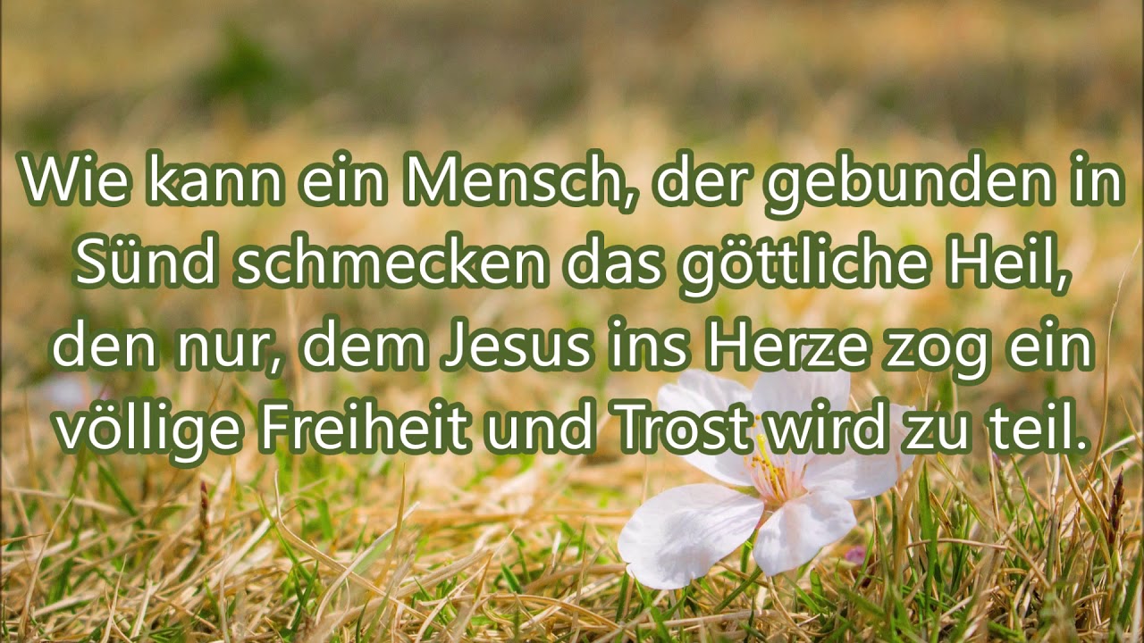 Nur der Erlöste ist Glücklich