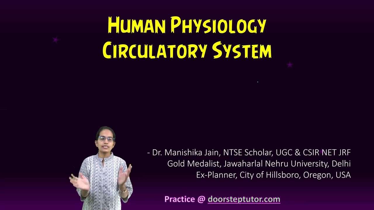 Human Circulatory System: Bundle of His, SA Node, AV Node, Valves, Auricles, Ventricles | Biology