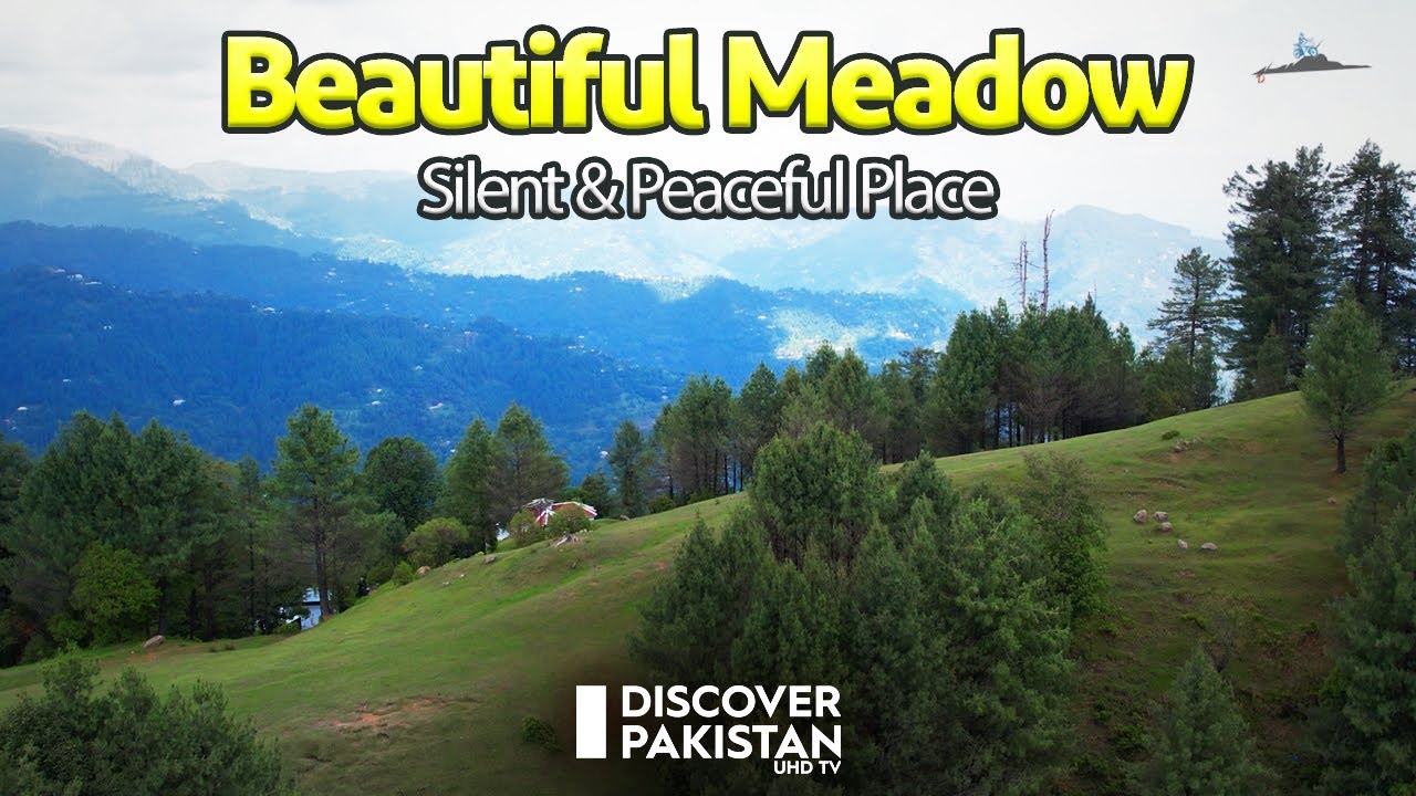 Beautiful Meadow | Silent & Peaceful Place | Discover Pakistan TV