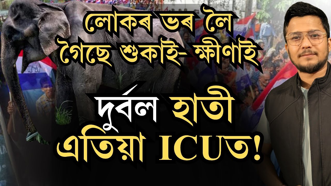 লোকৰ ভৰলৈ উঠিব নোৱাৰা হোৱা এটা হাতীৰ কাহিনী|  কিয় মেৰুদণ্ডহীন হৈ পৰিল অগপ? AGP BJP alliance 