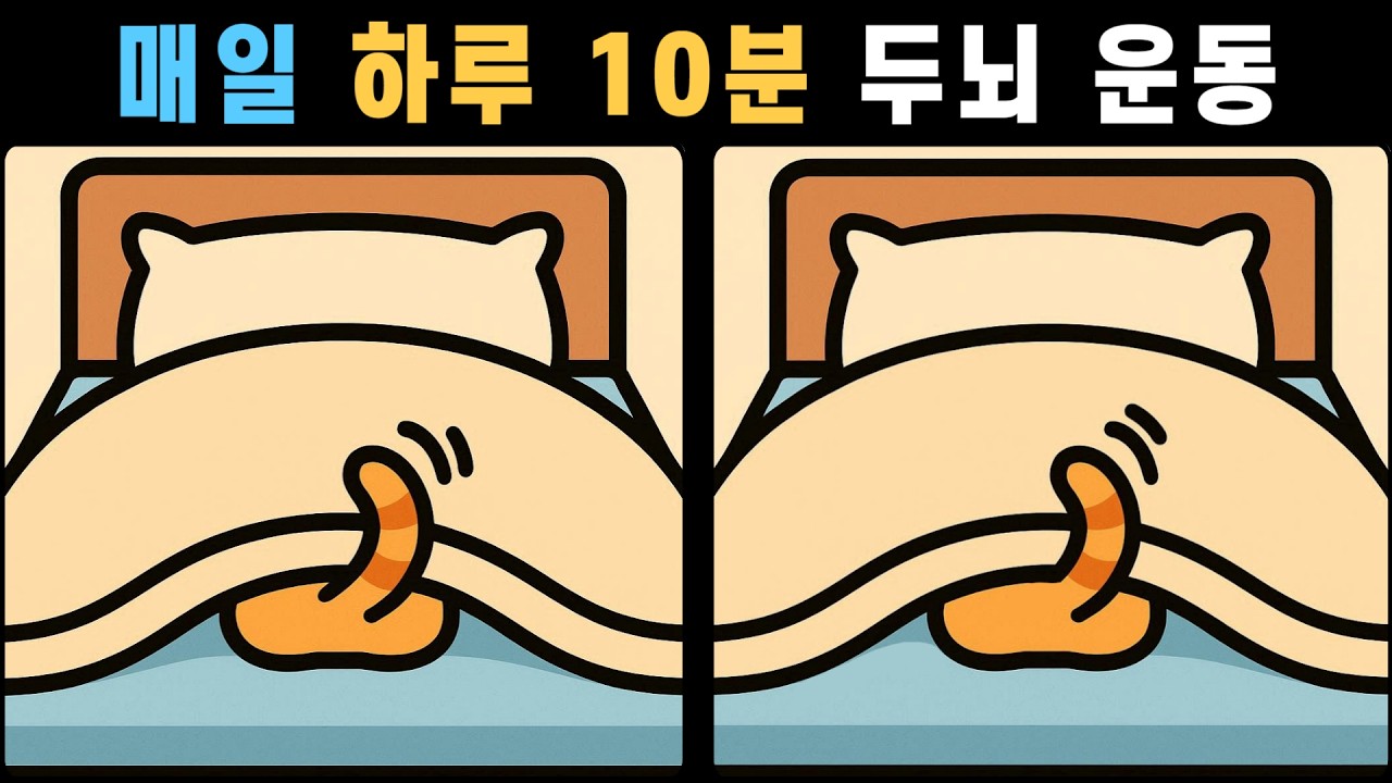 매일 하루 10분 두뇌 운동! 관찰력·집중력 테스트! [다른그림찾기]