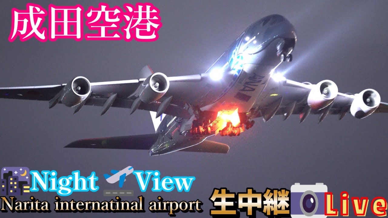 【2025/03/13❷】🌃🐢✈️成田空港 📸生中継 【✈️Narita international airport📸 Live】【Gibson Narita】#live