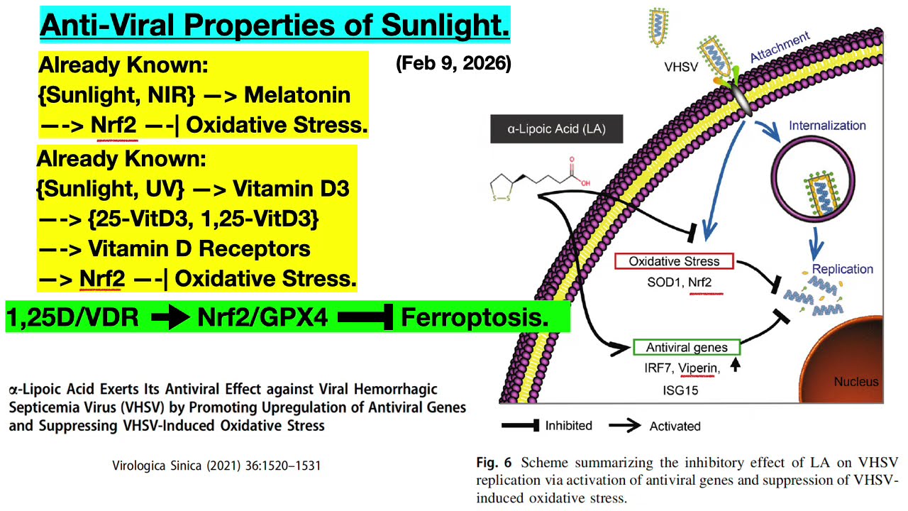 Anti-Viral Properties of Sunlight.