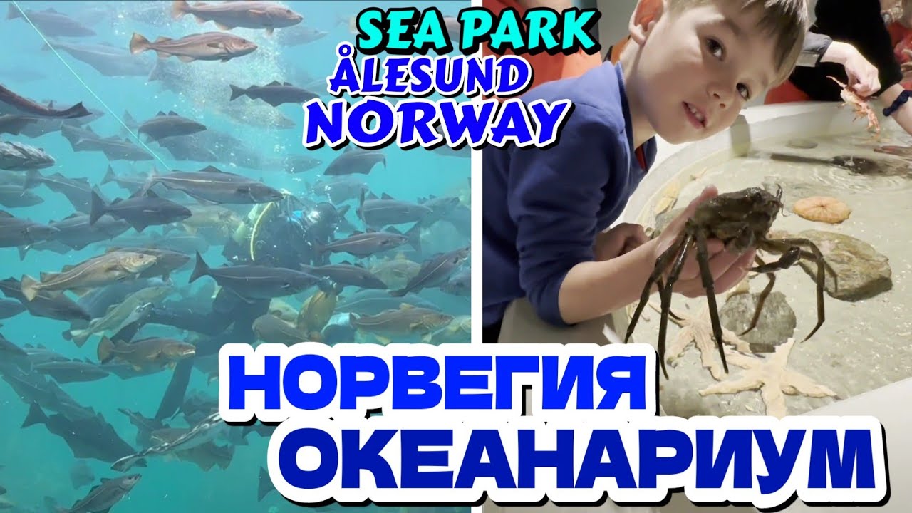 🌎 ОКЕАНАРИУМ в г.ОЛЕСУНН, НОРВЕГИЯ - Крупнейший Аквариум и морской парк в Скандинавии