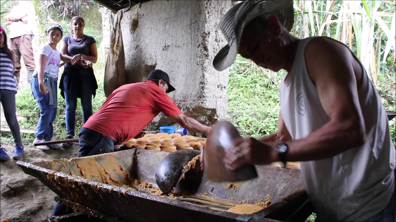 Trapiches - Descubriendo el corregimiento de San Sebastián de Palmitas