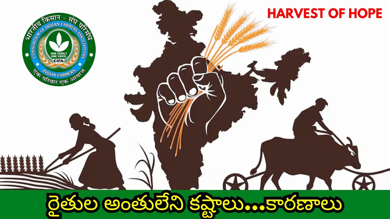 P. Chengal Reddy - Take on - Government purchase of crop and CACP