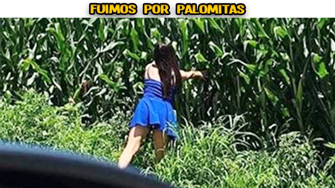 MEMES #616 - AMOR VAMOS AL CAMPO