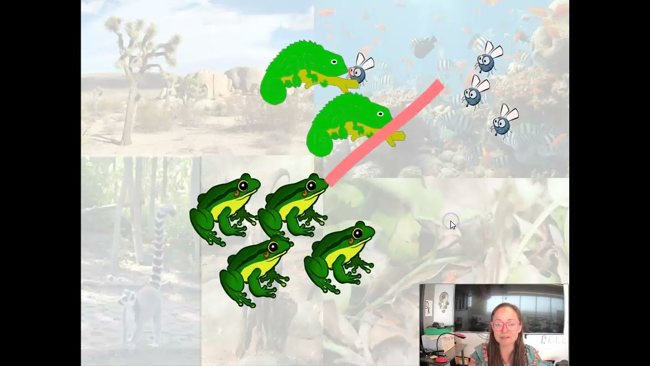 AP Bio Topic 8.5 Community Ecology Part 1: Competition, Niche Partitioning, Predator Prey