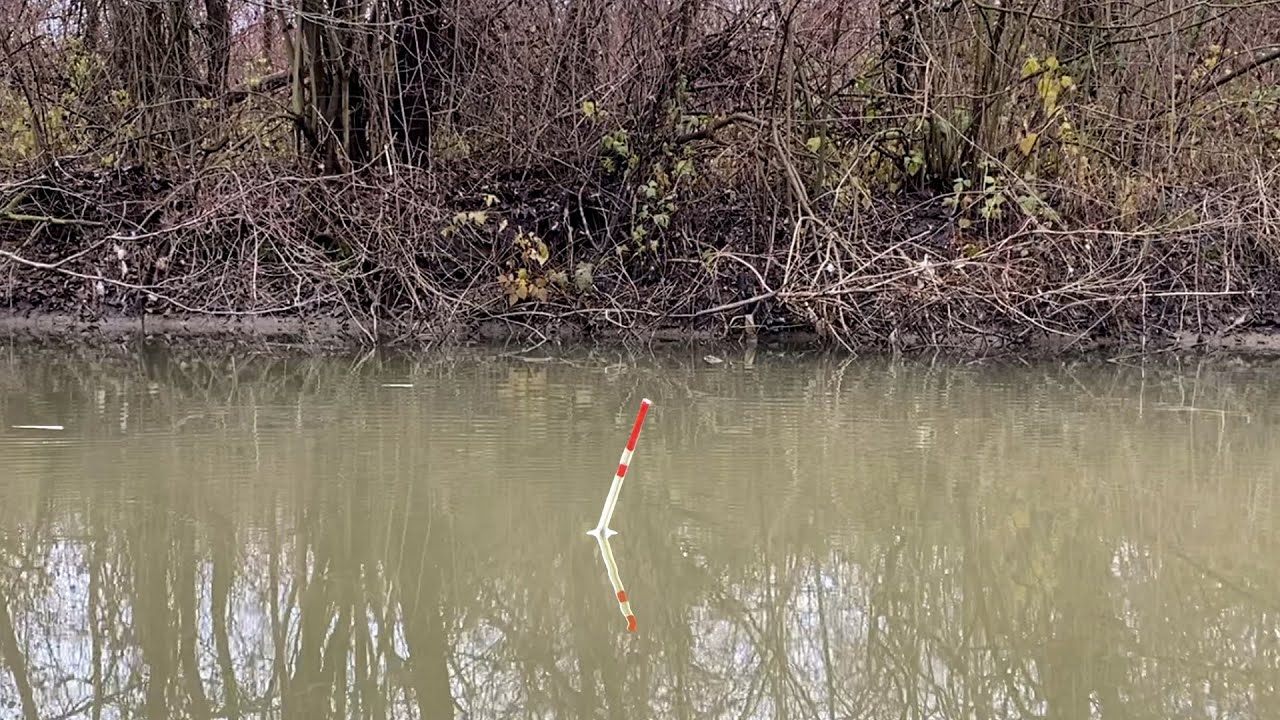 Am pescuit pe un braț al Râului JIU la pluta cu varga - FLOAT FISHING (EN SUB)