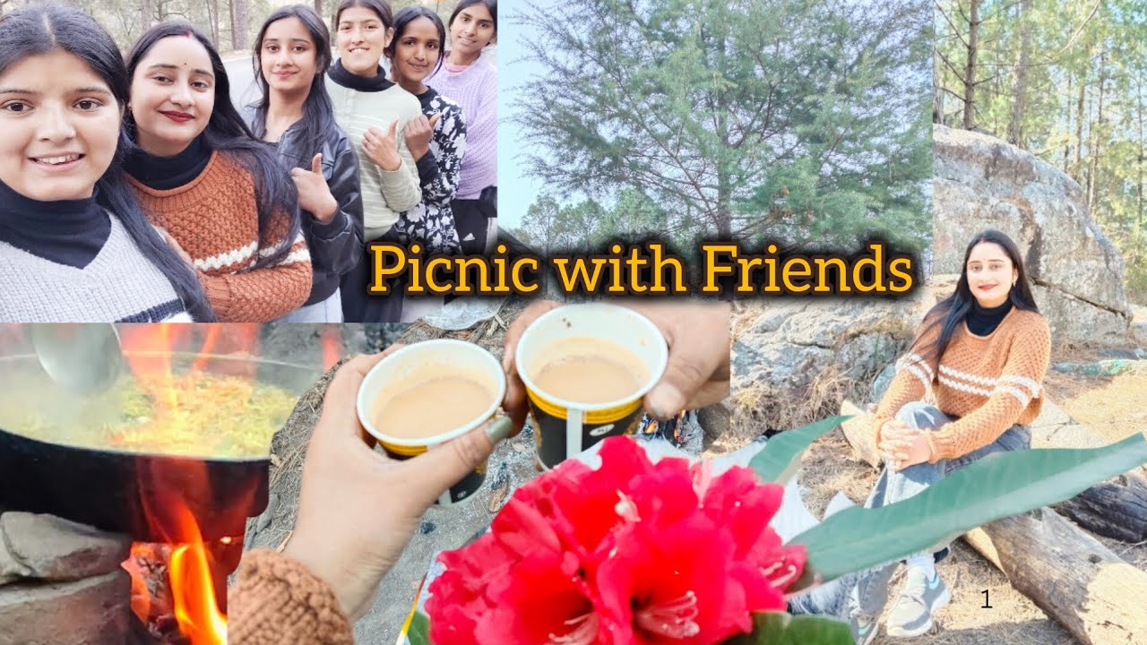  दोस्तों के साथ जंगल में पिकनिक का मज़ा 🌲⛰️🍜Picnic with Friends | Maggie Banayi Aur Full Masti Vlog 