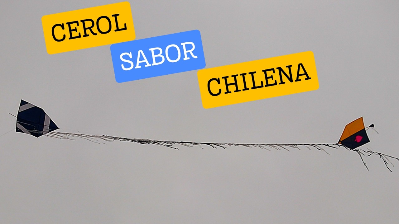 CEROL SABOR CHILENA CORTOU TODOS OS PIPAS RABIOLUDOS - ANIVERSARIO DO ARAPINHA