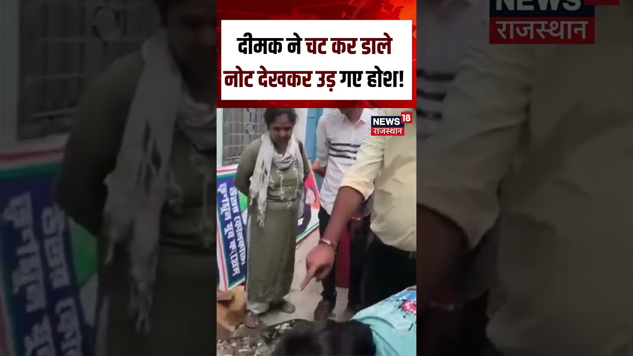 Viral Cash Video :दीमक ने चट कर डाले नोट देखकर उड़ गए होश ! | N18S | Viral | Cash | Top News |Latest