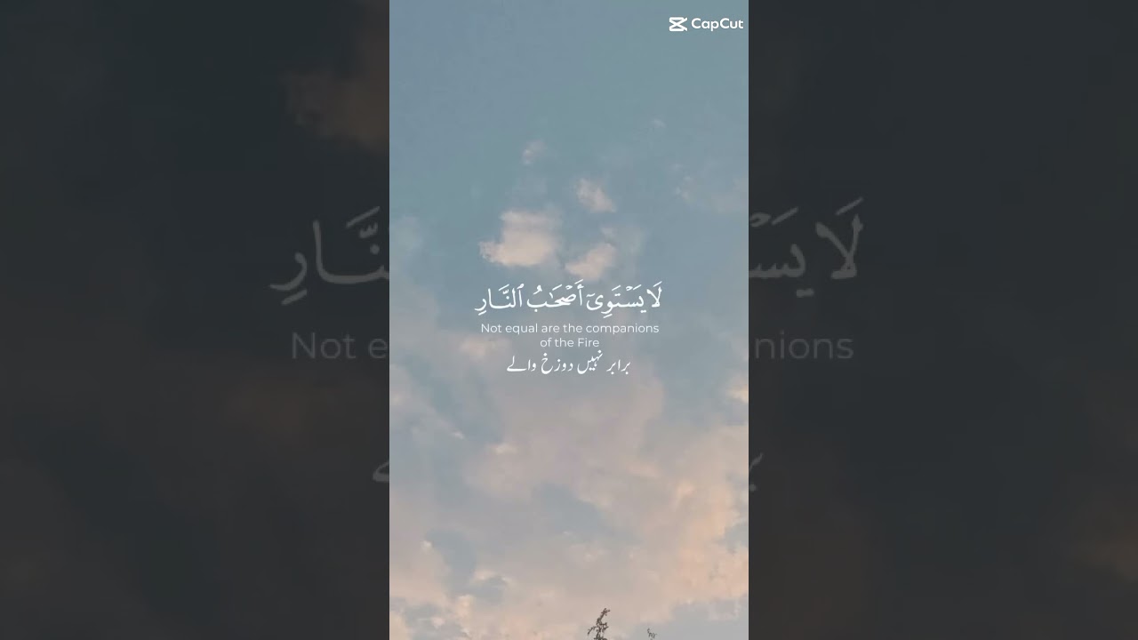 Soothing quran tilawat 📿✨️✨️❤️❤️ 
