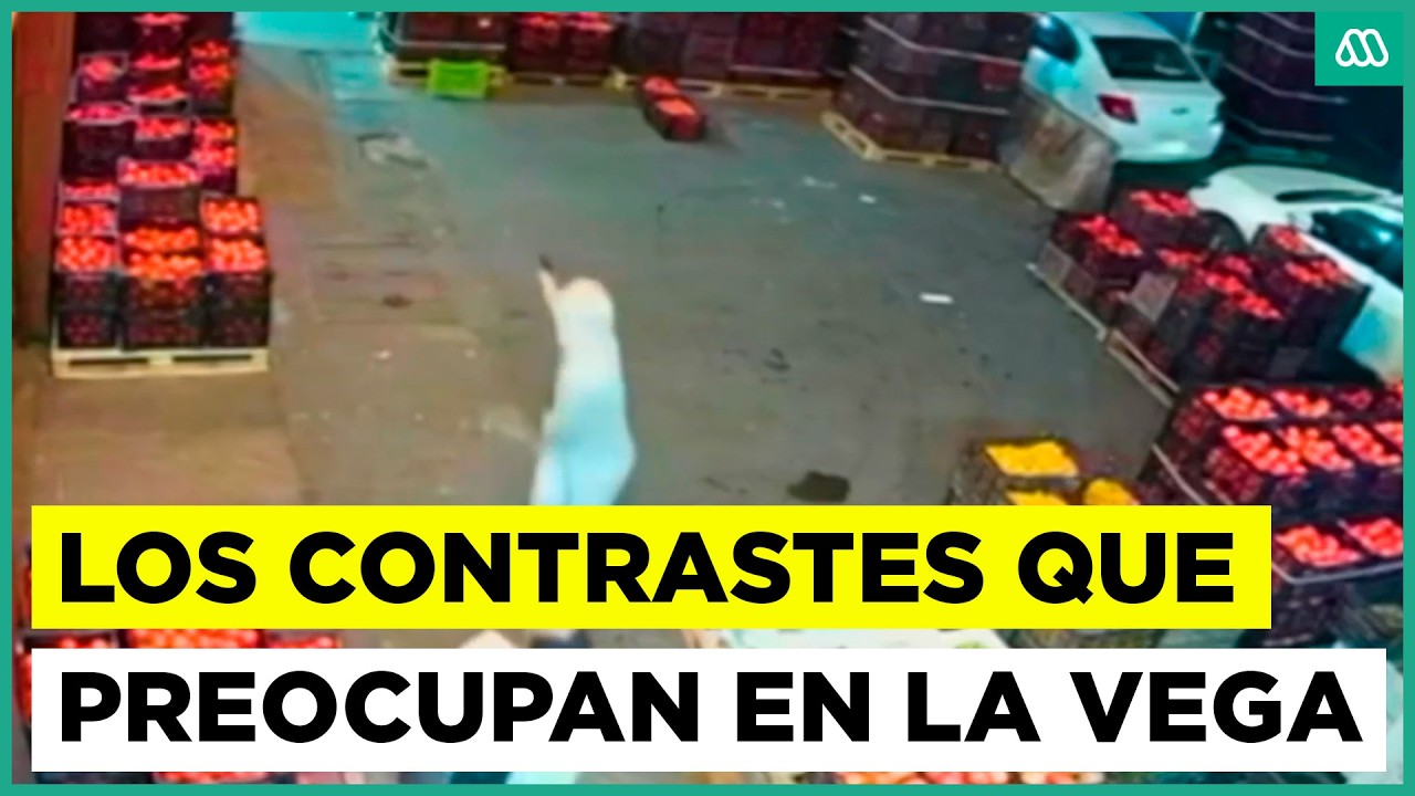 Alertas en La Vega Central por la inseguridad y altos niveles de drogadicción