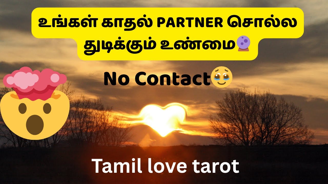 No contact | உங்கள் காதல் மீண்டும் கைகூடுமா? 🥹