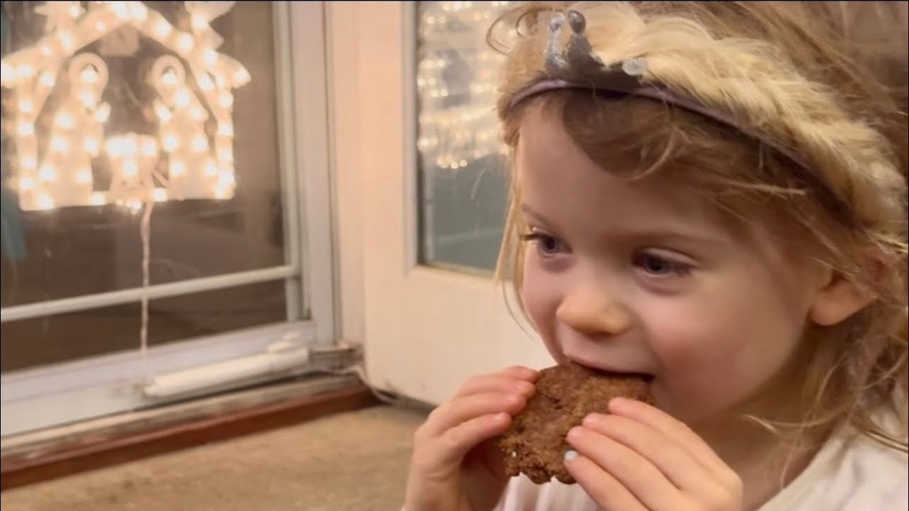 Clean Christmas Cookies Keto-Paleo & Toddler-Approved 