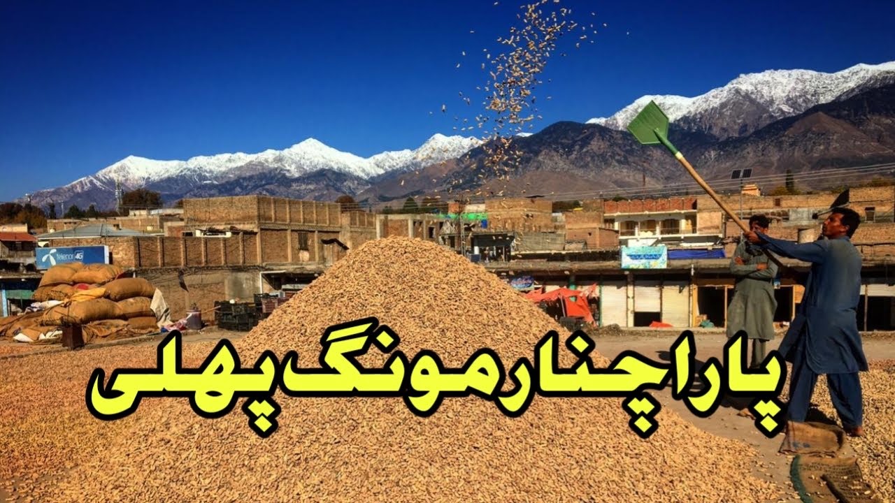 Parachinar Peanuts Moompali