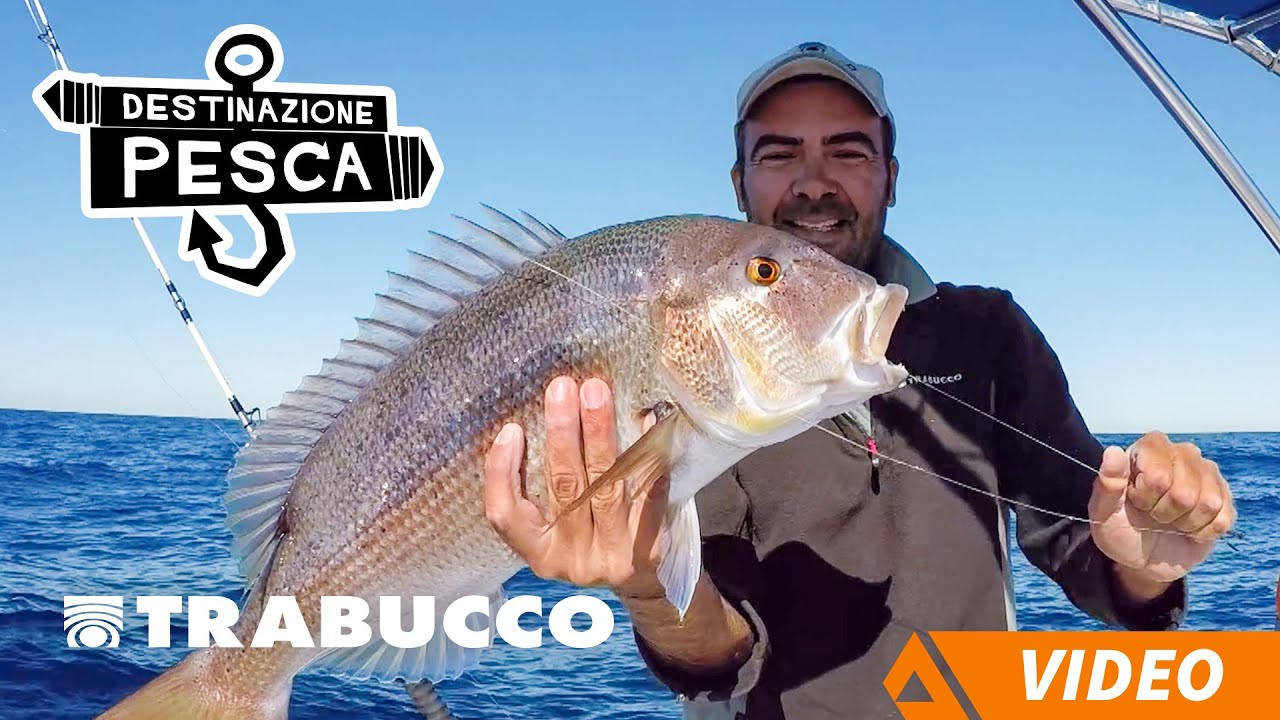 Pesca a Traina ad Anzio | Destinazione Pesca S2E7 |   @trabuccofishing