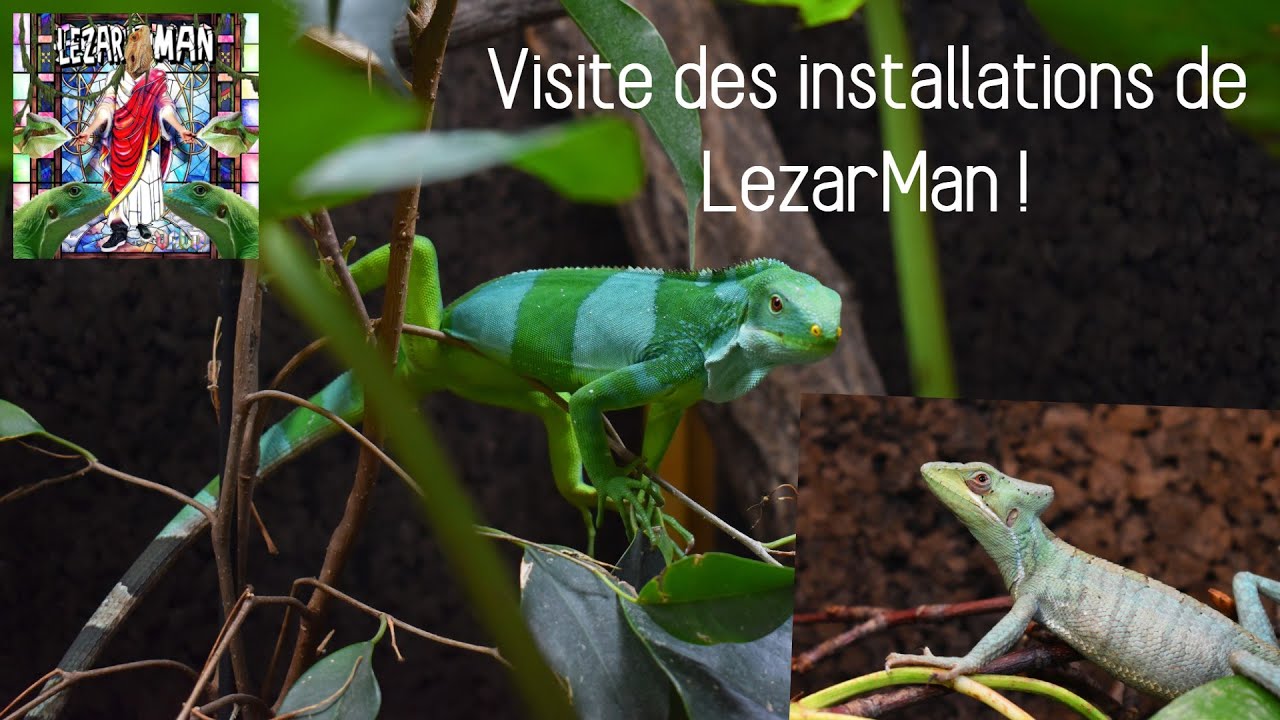 VISITE DES INSTALLATIONS DE LEZARMAN ! - Des espèces incroyables !