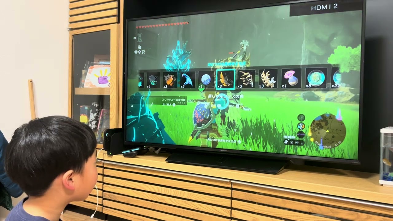 最近毎日ライネル討伐　ノーダメで倒しました。Switch2版ゼルダの伝説ティアーズオブザキングダム