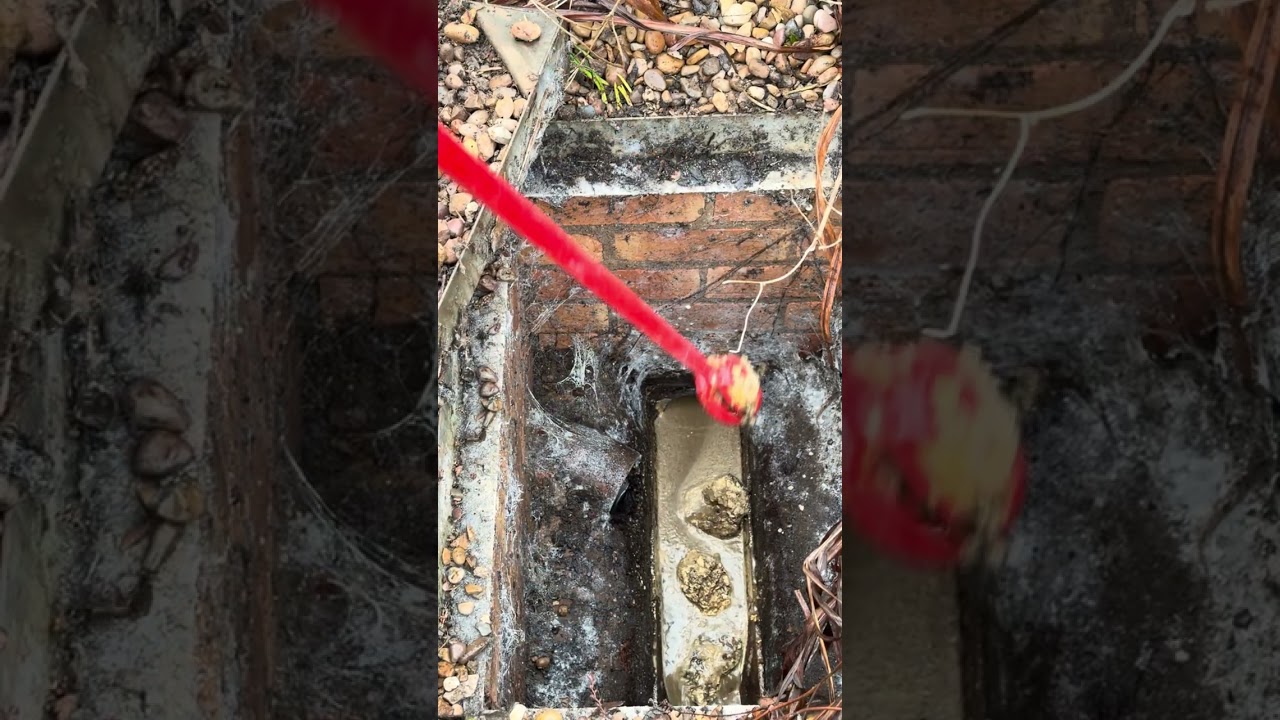 Drain unblocking #asmr #satisfying #drainage