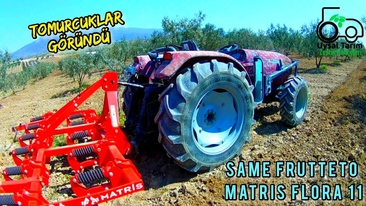 Zeytinler Tomurcuklanıyor  /// Same Frutteto ile Toprağa Dokunmaya Devam & Matris Flora 11'li VLOG25