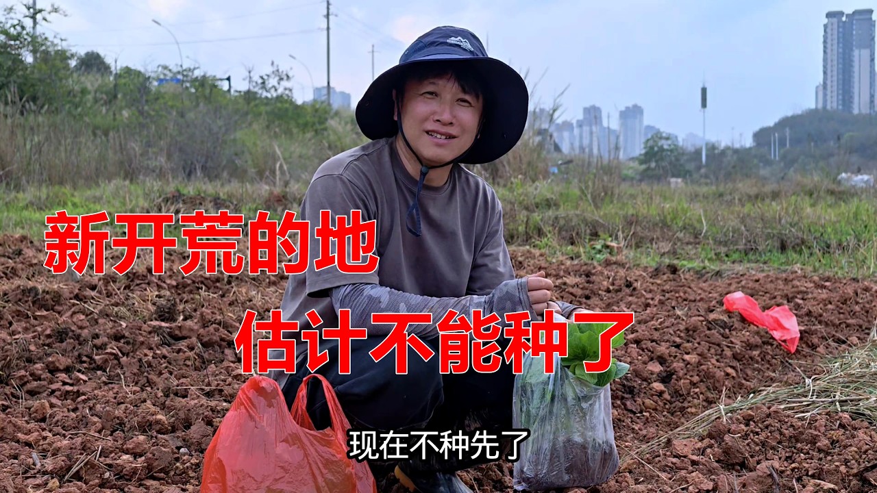 哭笑不得，辛辛苦苦挖好的地，还没开始种就通知说不能种了【我是杰少】