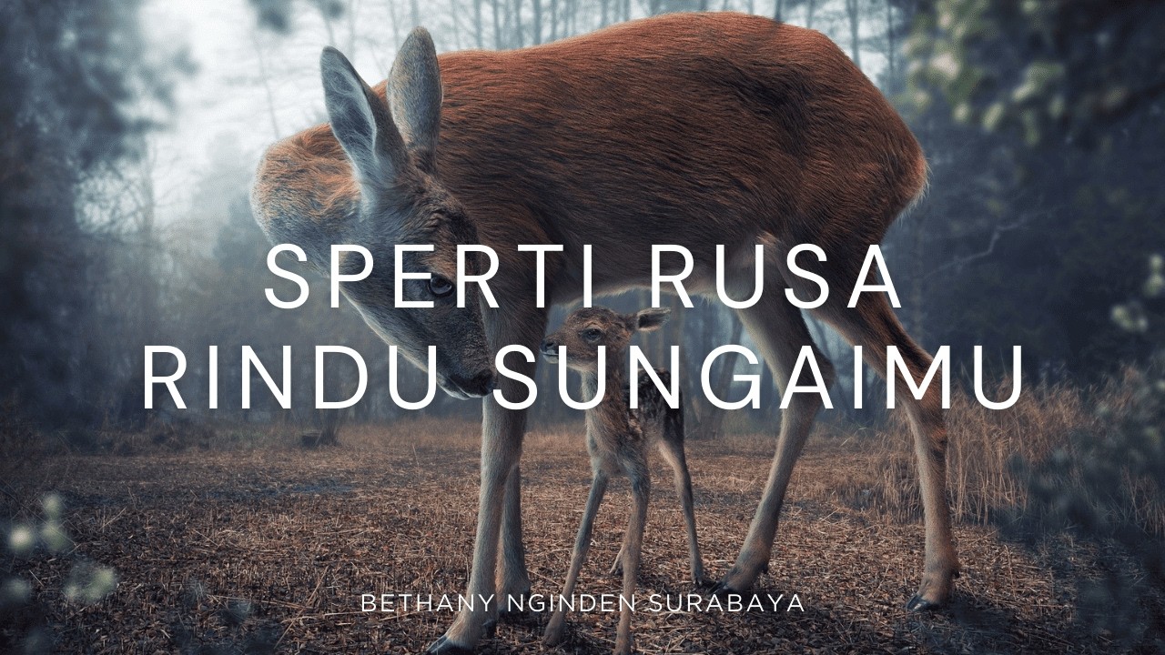 SPERTI RUSA RINDU SUNGAIMU - BETHANY NGINDEN SURABAYA