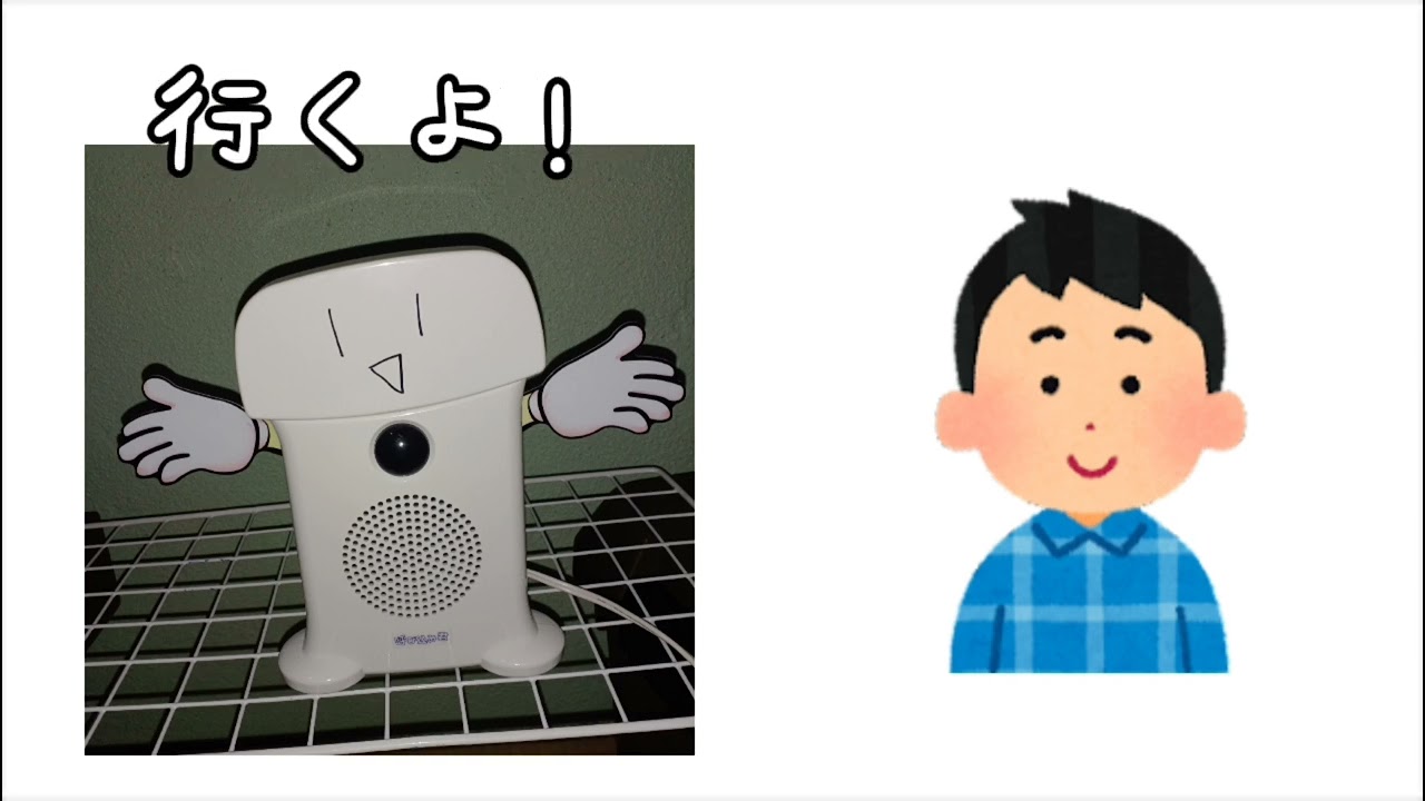 面白い動画