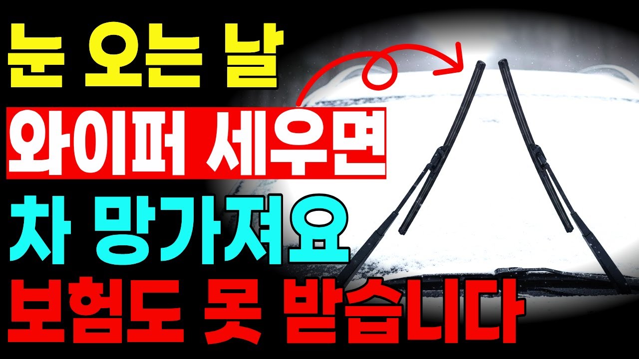 눈 오면 와이퍼 세우지 마세요, 이 습관 하나로 수리비 수십만 원 날아갑니다