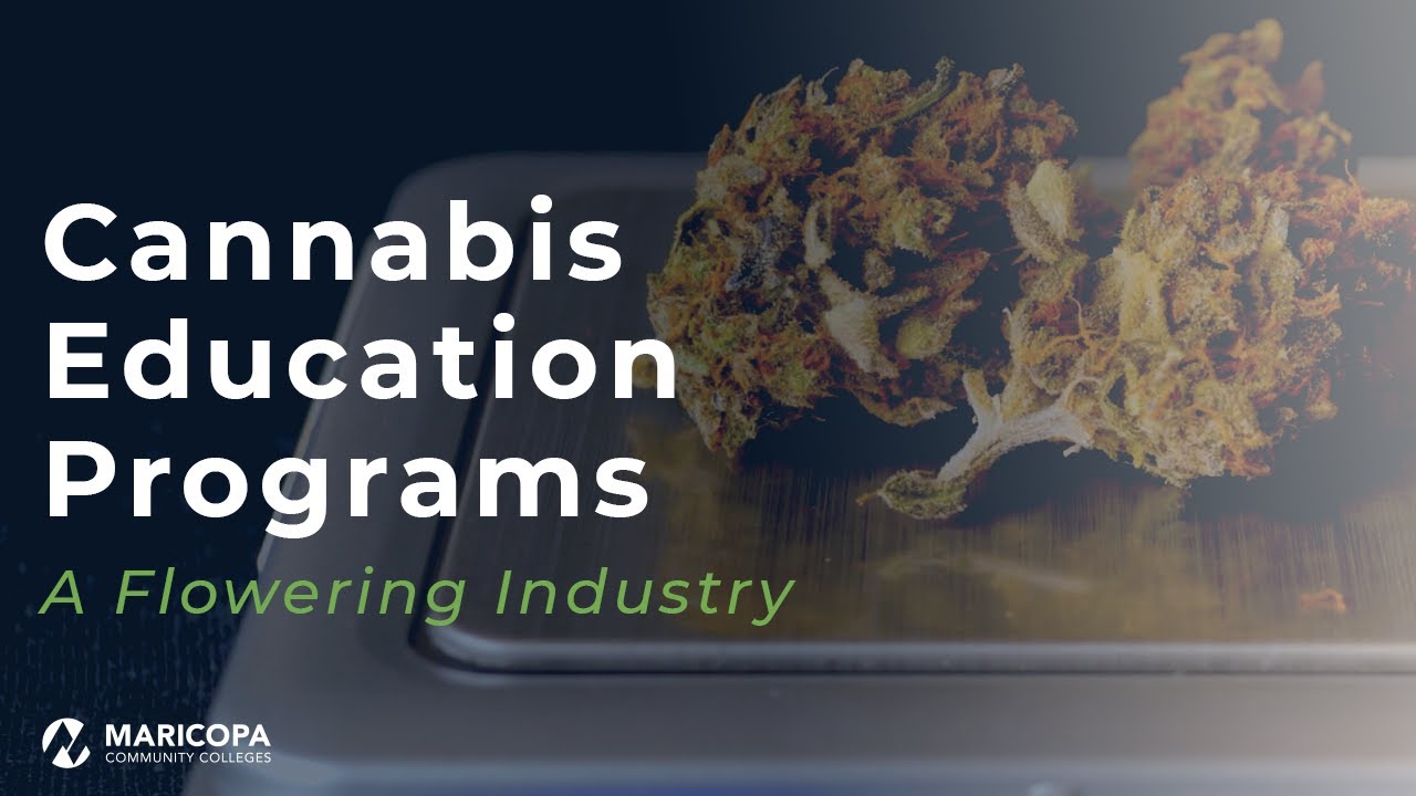 MCCCD Cannabis Industry Education Programs
