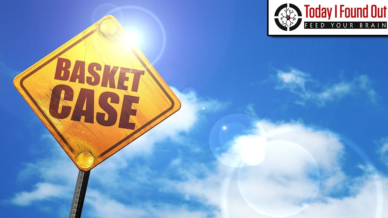 Why Do We Call Crazy People a 