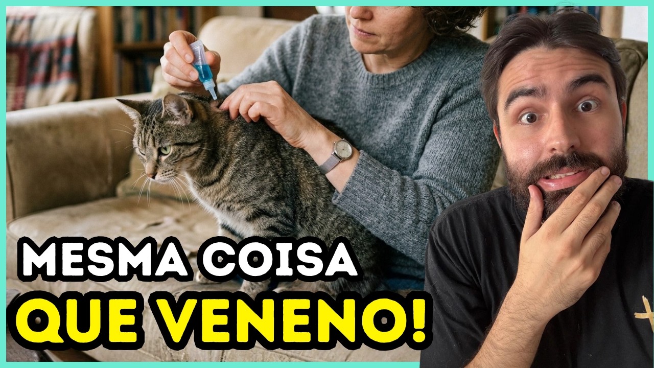 Dar ISSO Para o Seu Gato é a Mesma Coisa Que Dar VENENO Para Ele!